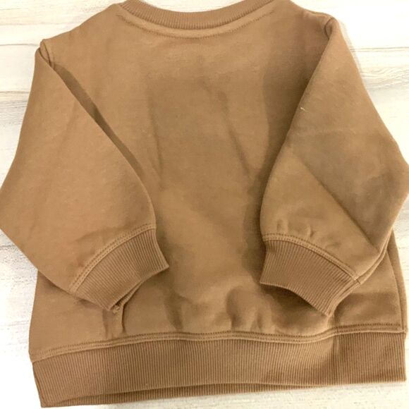 NWT!! Pumpkin Lightweight Sweatshirt Orange/Brown 6 Month Old - Picture 6 of 6